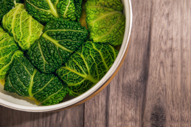 charutinho-de-acelga